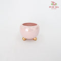 Asst Pot Pink