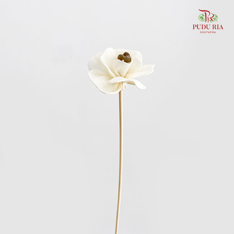 Dry Small Pomegranate Flower - White