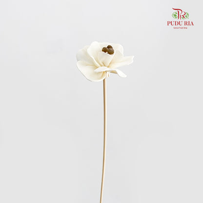 Dry Small Pomegranate Flower - White