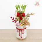 CNY Potted Plant Arrangement 2025#25