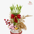 CNY Potted Plant Arrangement 2025#25