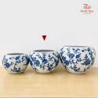 Q1YQ Blue White Porcelain Pot