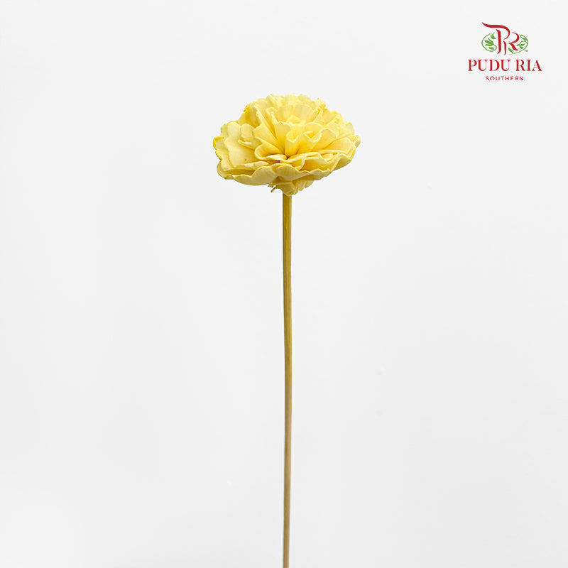 Dry Sola Marigold Light Yellow - 10 Stems