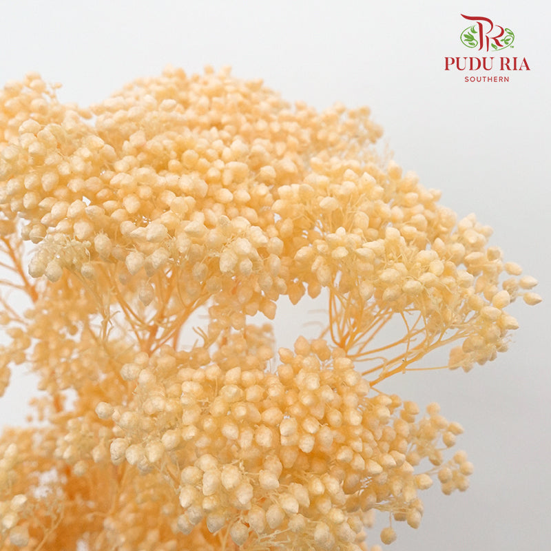 Preservative Rice Flower - Natural - Pudu Ria Florist Southern