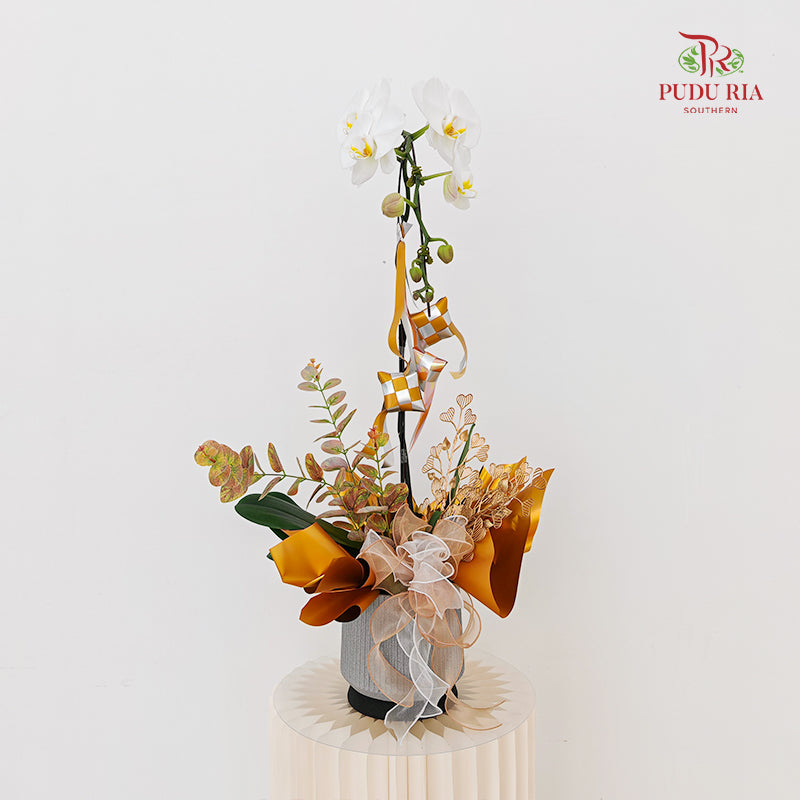 Hari Raya Arrangement - Phalaenopsis Orchid