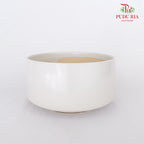 JT-242 White Pot