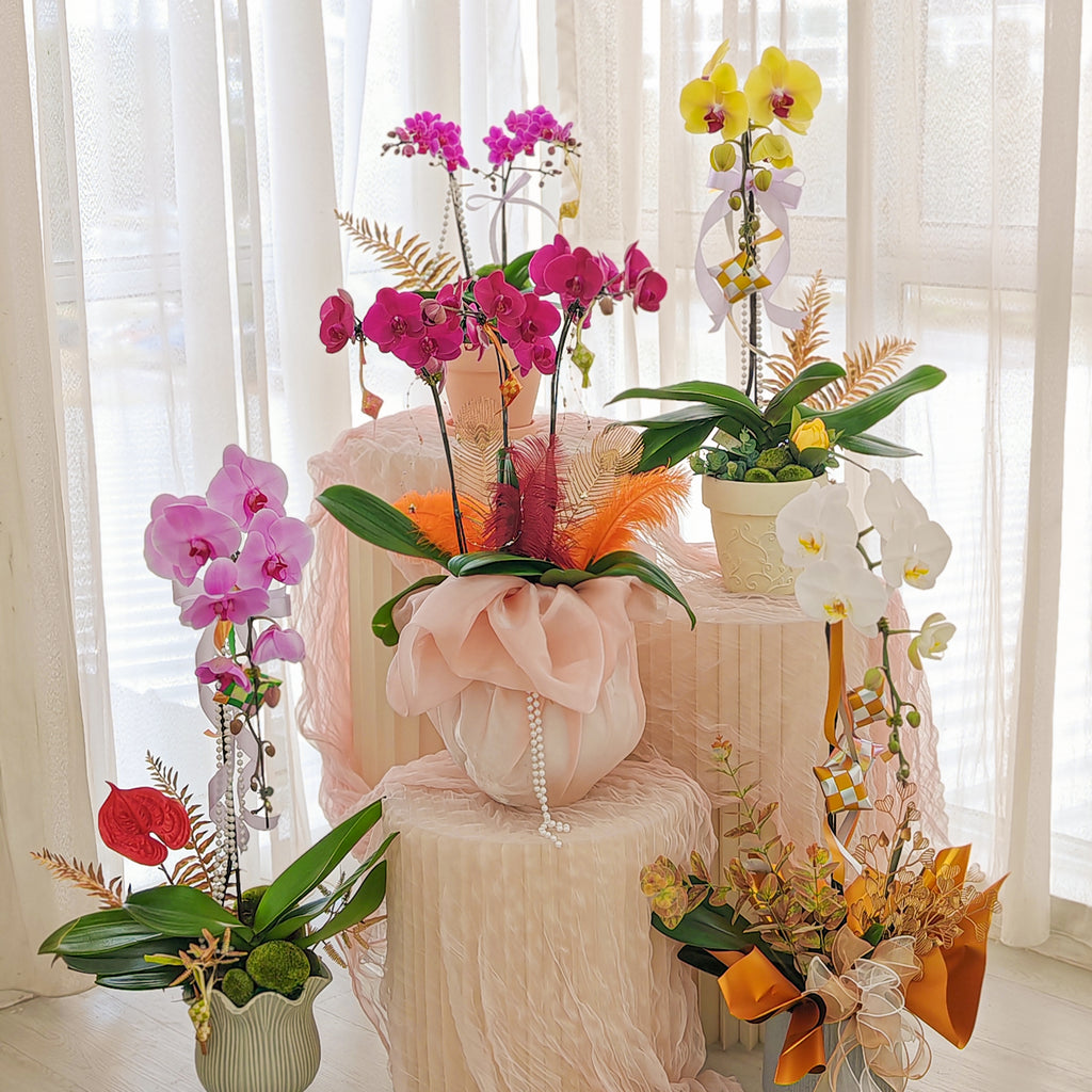 Hari Raya Arrangement - Phalaenopsis Orchid
