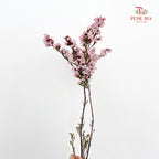 Erica Pink - (Per Bundle)