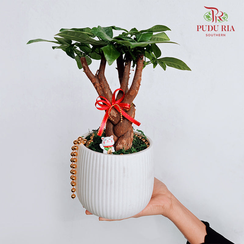 CNY Potted Plant Arrangement 2024#46