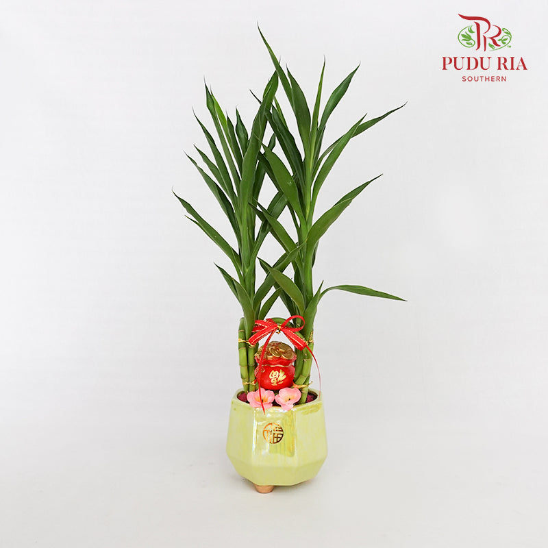 CNY Potted Plant Arrangement 2024#12