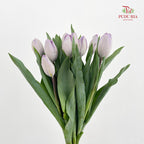 Tulip Purple 郁金香 - (8-10 Stems)