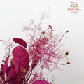 Dry Cotinus Magenta - Pudu Ria Florist Southern