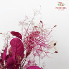 Dry Cotinus Magenta - Pudu Ria Florist Southern