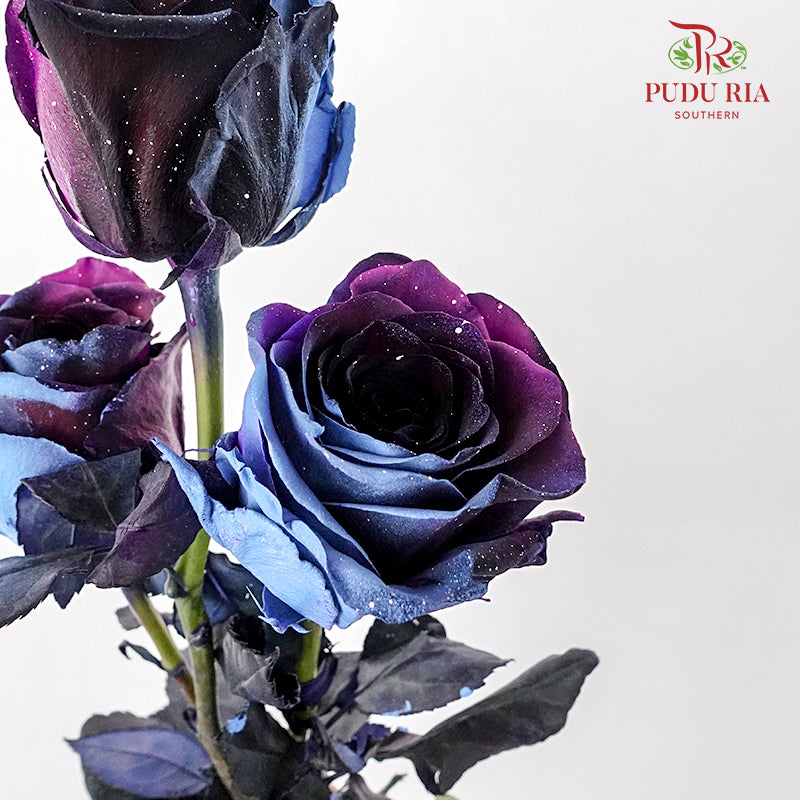 Rose Mondial Dyed Starry Galaxy (8-10 Stems) - Pudu Ria Florist Southern