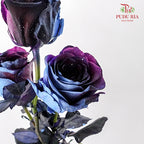Rose Mondial Dyed Starry Galaxy (8-10 Stems) - Pudu Ria Florist Southern