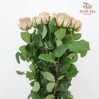 Rose Diwella (8-10 Stems) - Pudu Ria Florist Southern