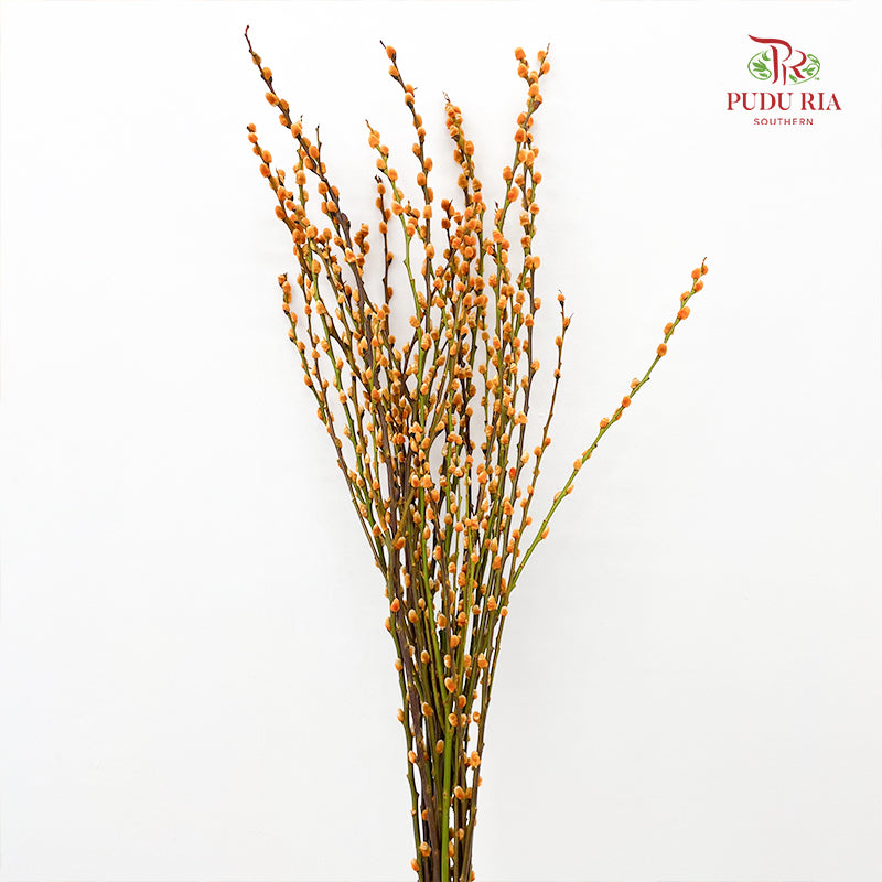 银柳分枝 Pussy Willow Spray Orange (6FT) - (12 Stems)