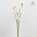 Dry Violet Love Shape - Center Orange