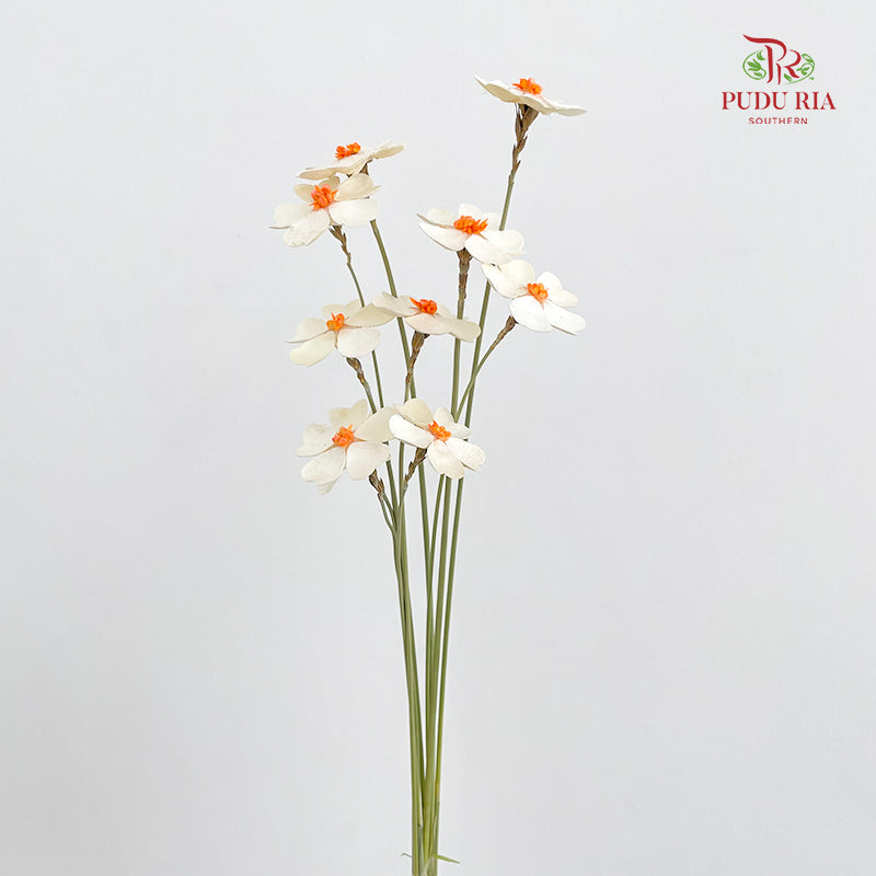 Dry Violet Love Shape - Center Orange
