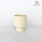 TY-8843 Pot