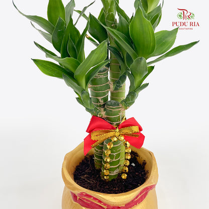 CNY Potted Plant Arrangement 2025#4