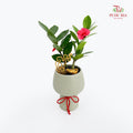CNY Potted Plant Arrangement 2025#18