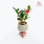 CNY Potted Plant Arrangement 2025#18