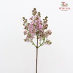 Syringa Pink 丁香花 - (2 Stems)