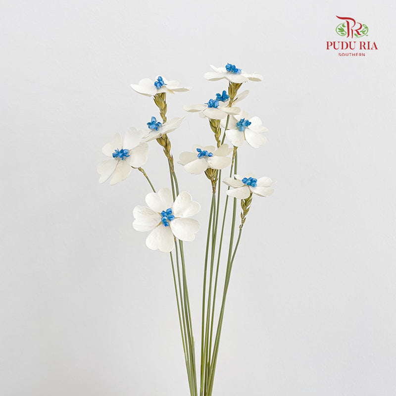 Dry Violet Love Shape - Center Blue