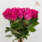Rose Pink Floyd - (8-10 Stems)
