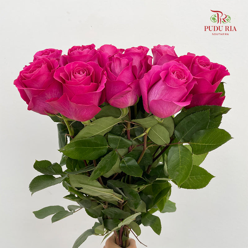 Rose Pink Floyd - (8-10 Stems)