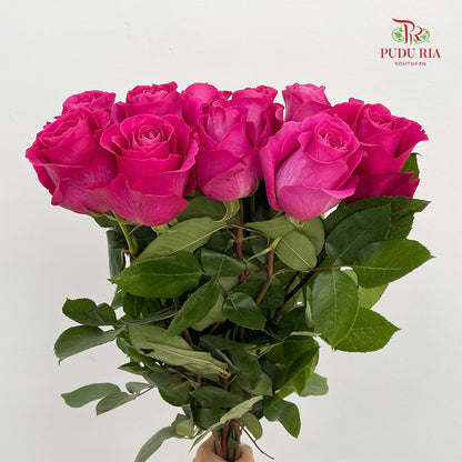 Rose Pink Floyd - (8-10 Stems)