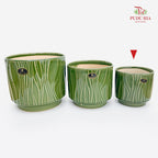 TX-W10283A Green Pot