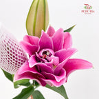 Rose Lily Pink 玫瑰百合 - (5 Stems)