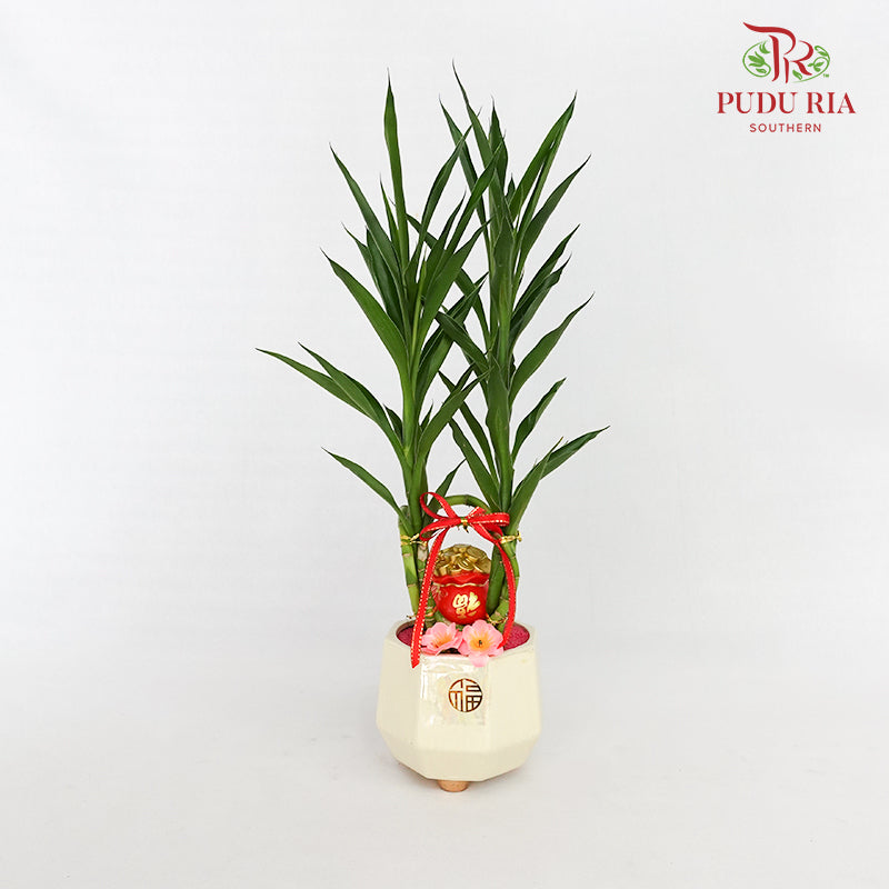 CNY Potted Plant Arrangement 2024#12