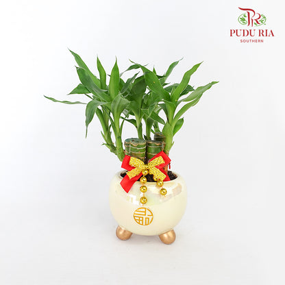 CNY Potted Plant Arrangement 2024#10