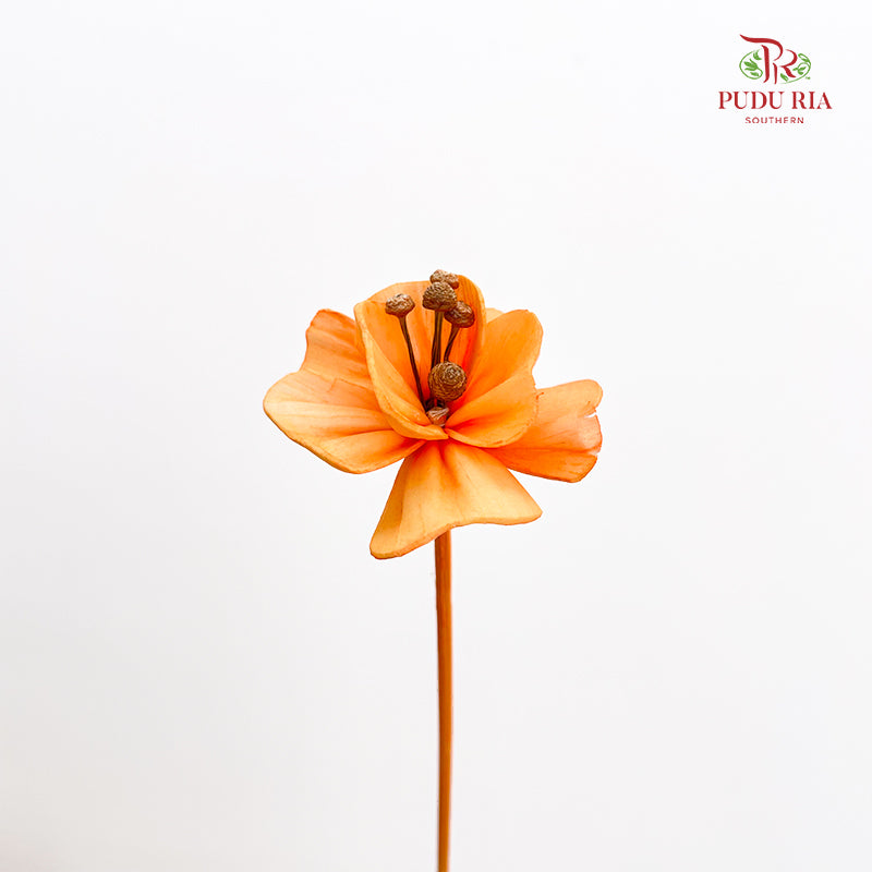 Dry Small Pomegranate Flower - Light Orange