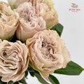 Rose Westminister Abbey - (10 Stems)