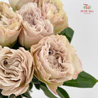 Rose Westminister Abbey - (10 Stems)