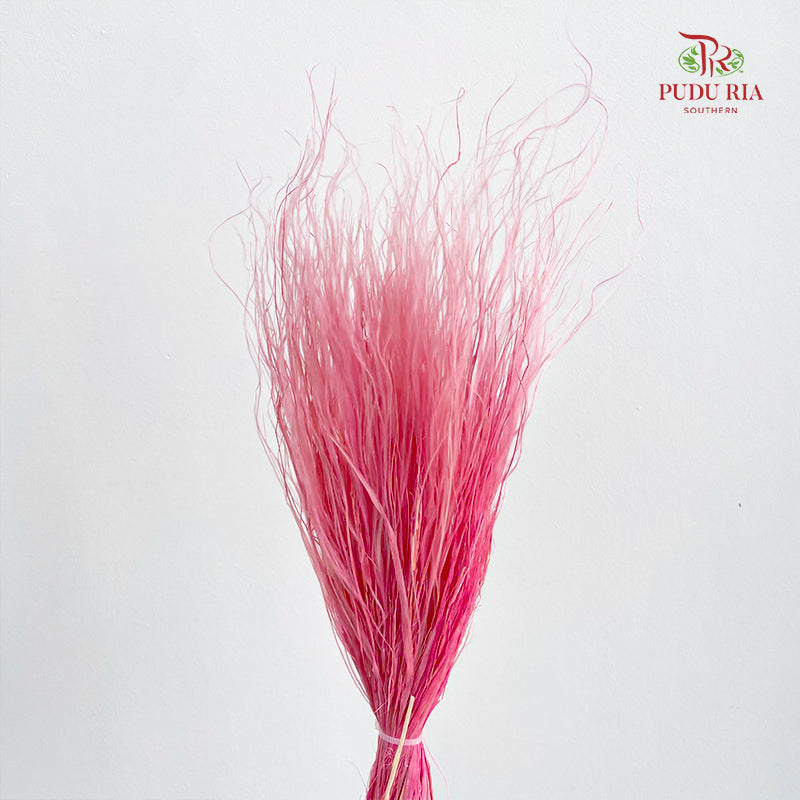 Dry Stipa Grass (Feather Grass) Pink