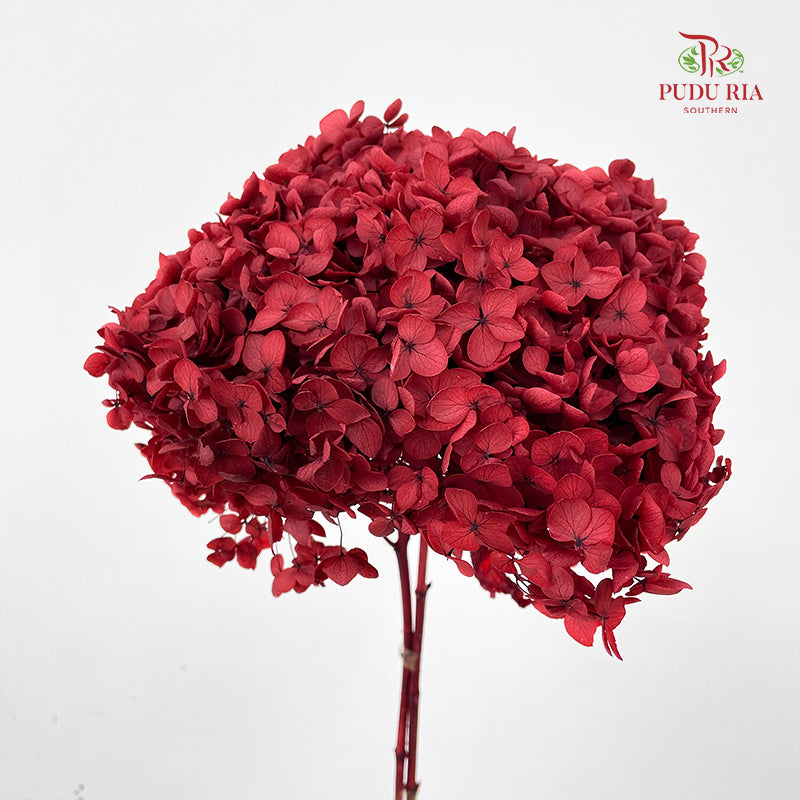 Preservative Hydrangea Small Petal - Deep Red