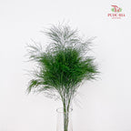Cocktail Leaf - (Per Bundle)