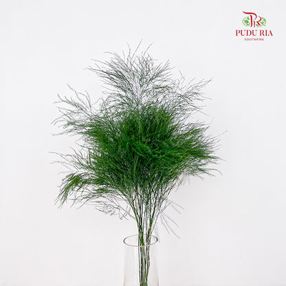 Cocktail Leaf - (Per Bundle)