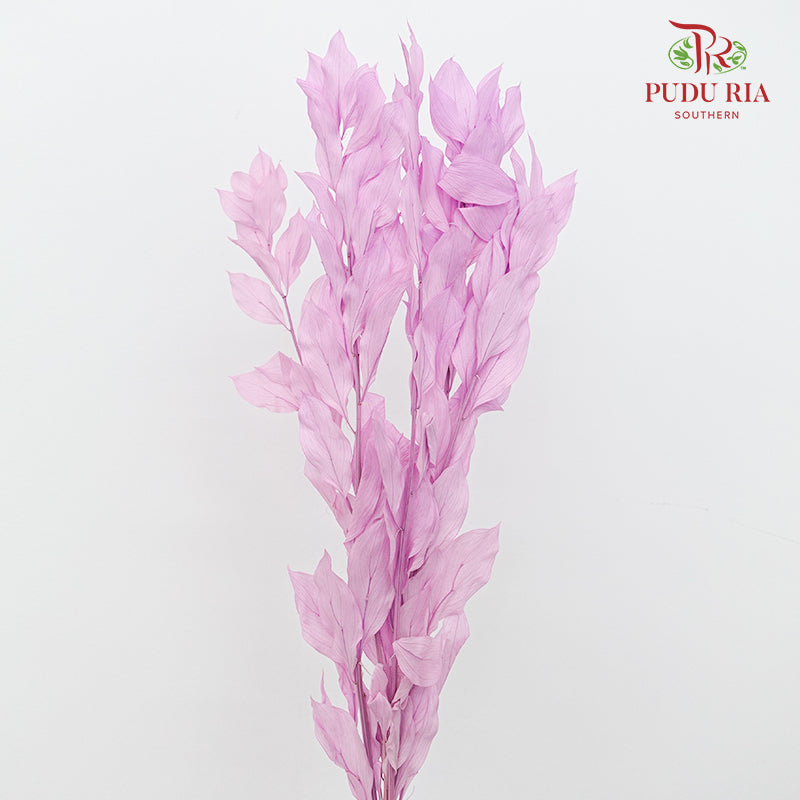 Dry Orange Leaf - Purple