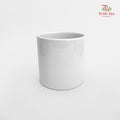 TX02 White Pot (No Hole)