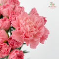 Carnation little Pink - (18-20 Stems)