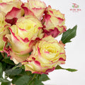 Rose Her Majesty - (8-10 Stems)