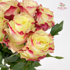 Rose Her Majesty - (8-10 Stems)