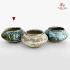 HY-J019 Pot