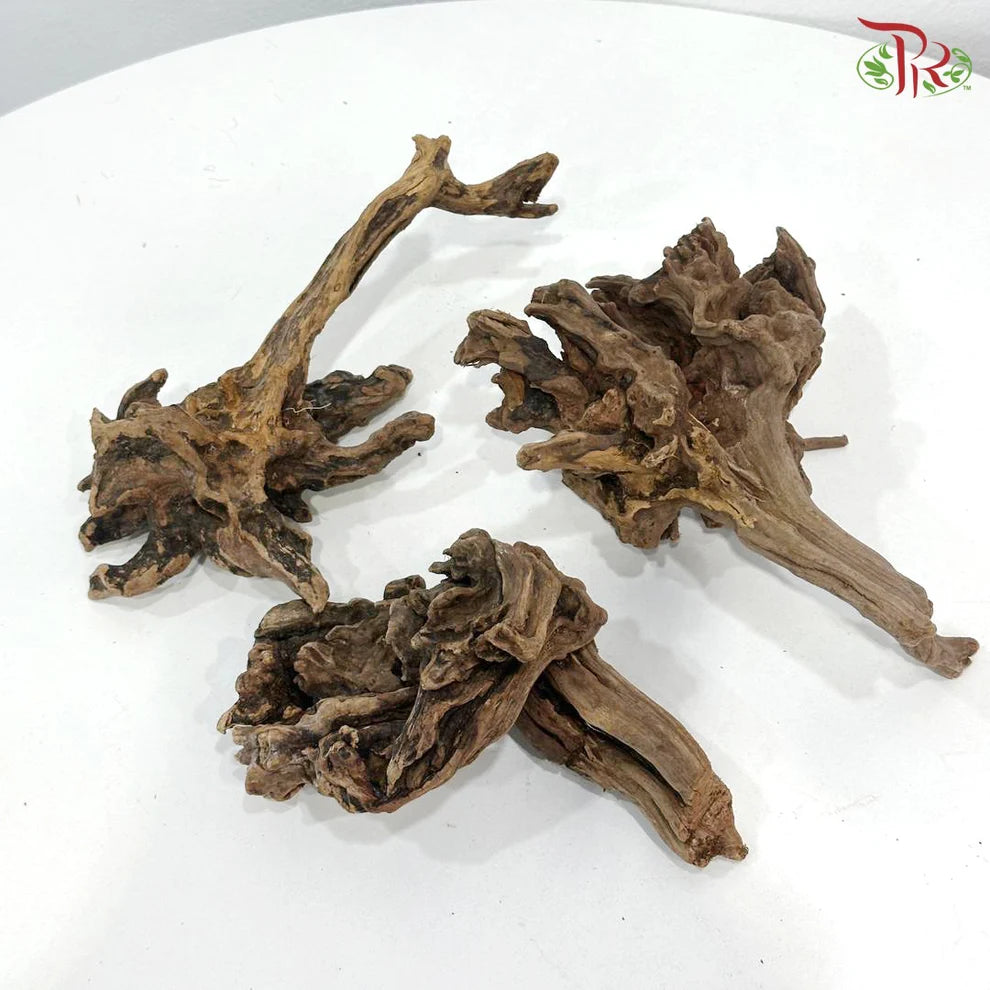 THORN TREE 刺树 1KG